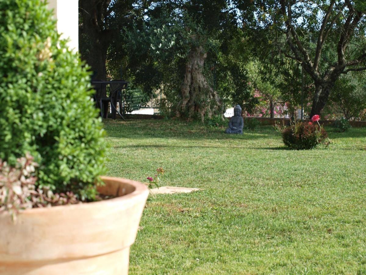 Apartments Mirasol Umag Exterior foto