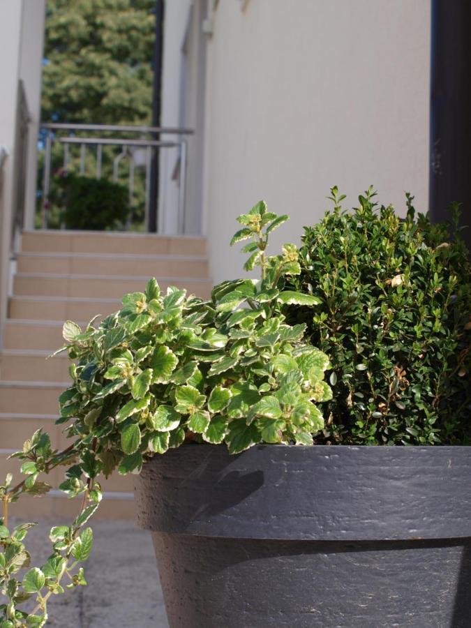 Apartments Mirasol Umag Exterior foto
